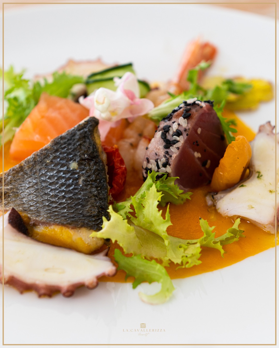cucina pugliese sala ricevimenti Bari